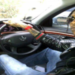 Vybz Kartel speaks his mind vol.4