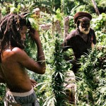 man free a documentary about Jamaicans