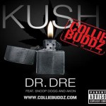 collie buddz dr dre snopp akon kush remix