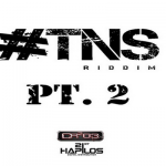 TNS RIDDIM PT2 ZJChrome CR203 RECORDS