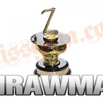 IRAWMA AWARDS 2012