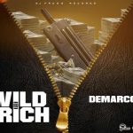 Demarco new music single Wild & Rich DJ Frass Records 2023