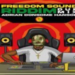 Freedom Sound Dub Mix Donsome Records 2022
