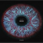 Intence Bounce Official Music Video Jamaican dancehall music 2023