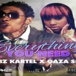 New Vybz Kartel ft Gaza Slim everything you need nov 2012