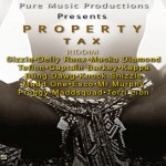 PROPERTY TAX RIDDIM PURE MUSIC PRODUCTIONS FEB 2103