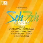 SEH-FEH-RIDDIM july2015-tjrecords-july2015