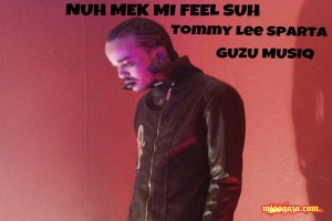 TOMMY LEE SPARTA LATEST SINGLES JUNE 2013 NUH MEK MI FEEL SUH