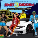 Unit 3 riddim mix vershon, busy signal, charly blak, arika dancehall music 2022