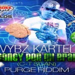 VYBZ-KARTEL-MONEY-PON-MI-BRAIN-haad rokk muzik dec 2014