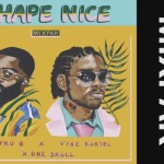 afrob vybz kartel dre skull shape nice official audio