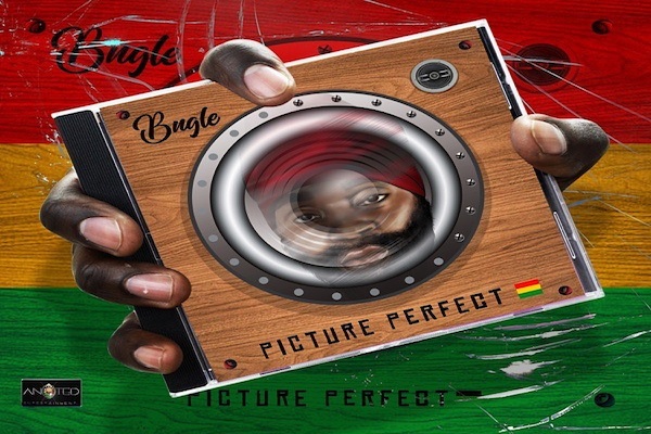 bugle picture perfect album 2019