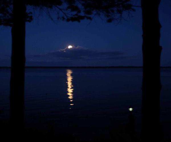 damian marley My Sweet Lord New Single cover art 2023