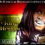 dj junky-Bob MarleyThe king of Reggae mixtape June 2013