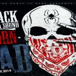 download Black Spida Sound Born Bad Dancehall Mixtape Feb 2014