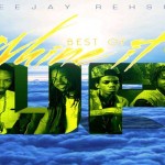 downloadvbest of 2013 dancehall mixtape dj rhesus jan 2014