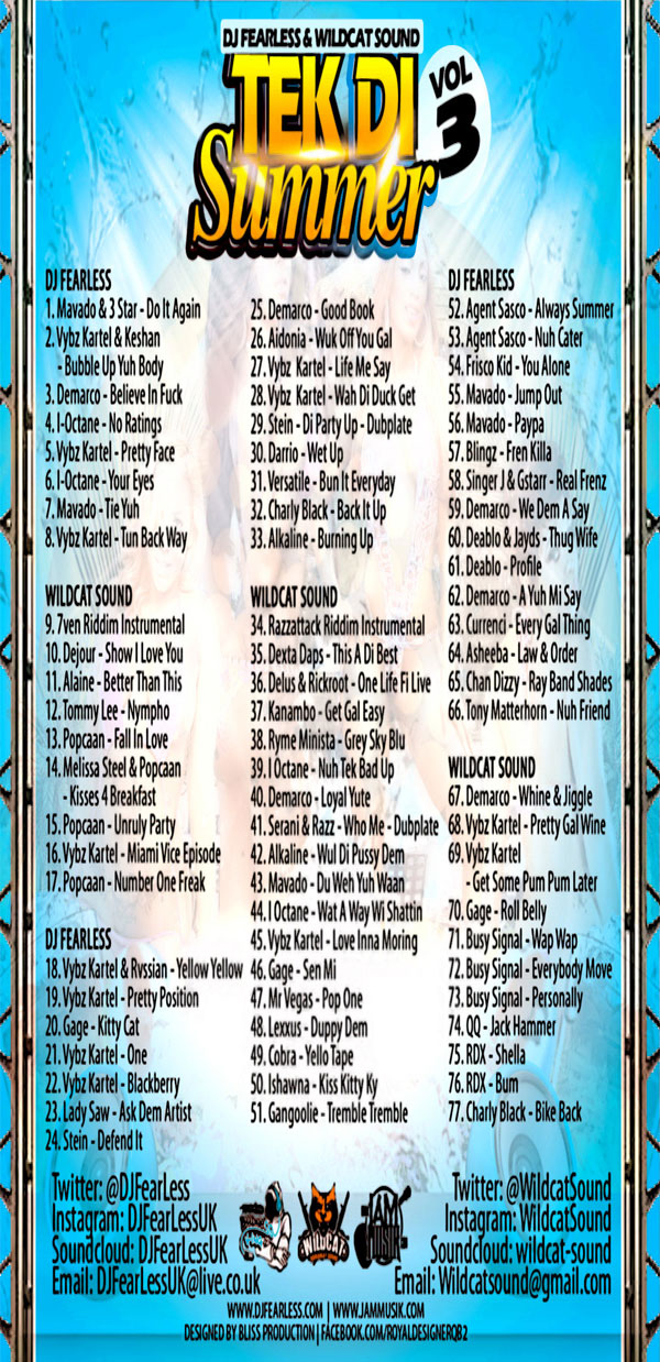 download take the summer vol 3 dancehall mixtpae dj fearless wildcat sound