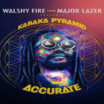 download walshy fire kabaka pyramid- Accurate_free reggae mixtape 2016