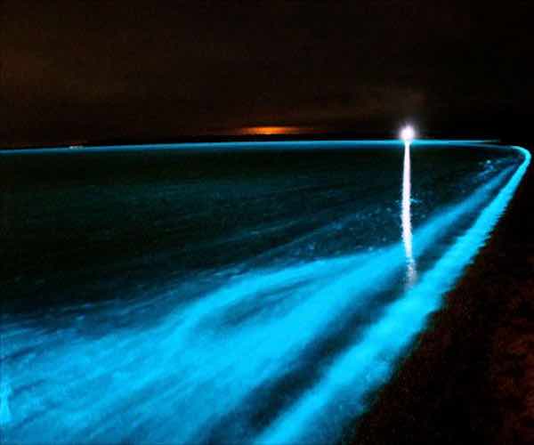 glistening waters falmouth jamaica top places to visit