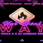 hot girl way megan thee stallion spice vybz kartel dj kayla g dj chemics remix