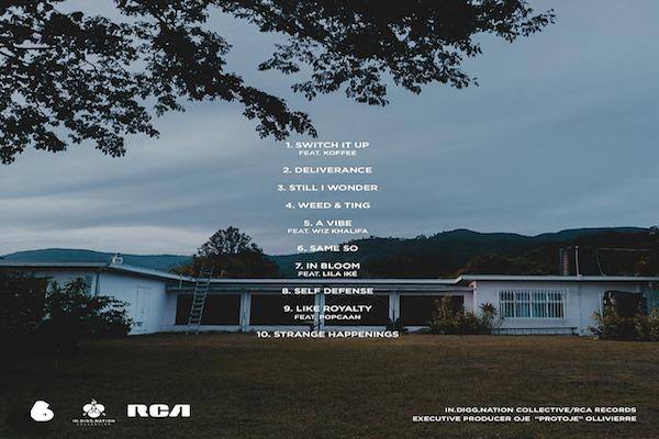 in-search-of-lost-time-back-cover protoje new album