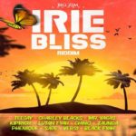 irie bliss riddim mix big zim records 2021