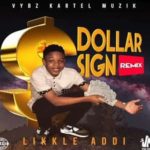 likkle addi likkle vybz vybz kartel dollar sign remix magneato medley official video 2022