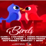 love birds riddim mix i-octane chuck fenda jah cure chine zagga di general records 2021