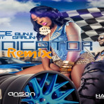 spice feat bunji garlin-indicator-remix-music-video-march 2017
