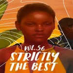 stream strictly the best reggae compilation best reggae songs 2017 vp records