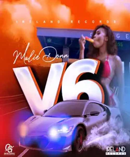 v6 riddim mix 2023 Ireland Records : Chronic Law, Nvasion, Teflon Young King, Malie, Vyzadon, Fully Bad