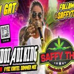 vybz kartel addi a di king vybz kartel summer mix clean