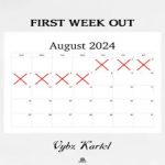 vybz kartel first week out mixtape 2024