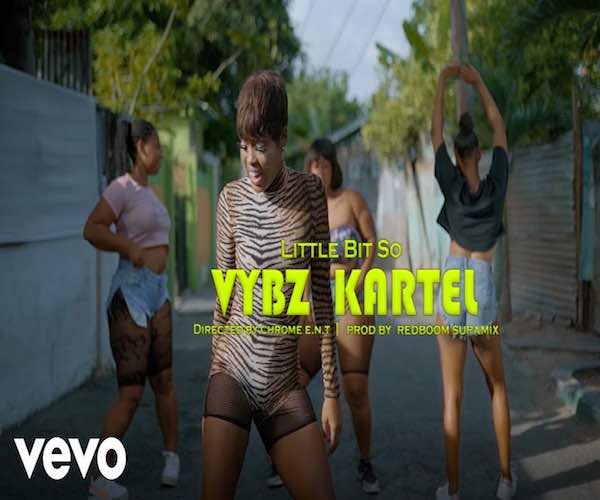 vybz kartel likkle bit so official music video 2022