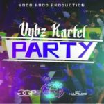 vybz kartel party nice official music video