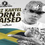 vybz kartel new single born & raised june 2014